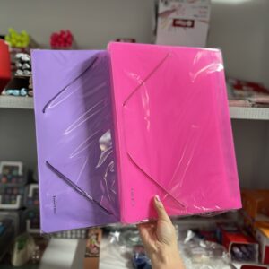 Carpeta clasificadora A4